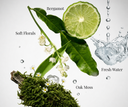 lime, flowers, moss, and water droplets with labels for Bergamot, Soft Florals, Fresh Water, and Oak Moss.