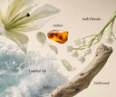 Collage of soft florals, amber, driftwood, and ocean waves with text labels.