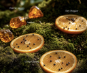 Sliced oranges with spices on a mossy surface labeled 'Forest Air', 'Dry Pepper', 'Amber', 'Crisp Citrus'.
