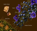 Amber stones, violet flowers, oak moss, and juniper berries on a brown background
