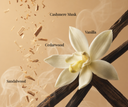 Vanilla flower with vanilla beans and labeled ingredients on a beige background