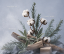 Decorative arrangement with cotton, sage, and wood on a textured surface