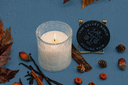 A single wick Autumn Rain candle on a blue background with decorative fall elements.