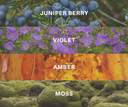 Fragrance notes for Black velvet with corresponding imagery. Juniper Berry, Violet, Amber, & Moss