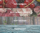 Fragrance notes for Blushed rain with matching visuals. Ripe Berries, Blooming Florals, Soft Woods, and Rainwater