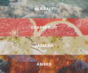 Collage of sea salt, grapefruit, jasmine, and amber with labels above each.