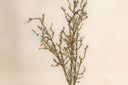 Gold Iced Twig Spray