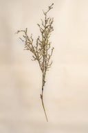 Gold Iced Twig Spray