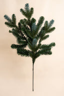 Colorado Blue Spruce Spray