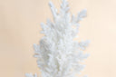 White Pine Spray
