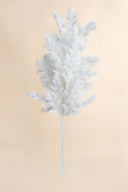 White Pine Spray