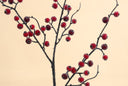 Iced Red Berry Spray