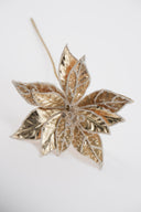 Golden Poinsettia Stem