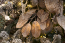 Gold Glitter Magnolia Leaf Spray