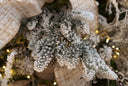 Snowy Noble Pine Spray