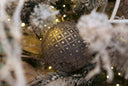 Antique Gold Embossed Glass Ornament (Set of 2)