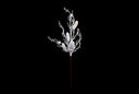 White Pinecone & Twig Spray