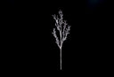 Snowy Twig Pick