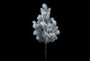 Large Snow Noble Pine Spray