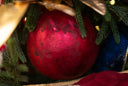 A close-up of a red Christmas ornament with subtle floral patterns, nestled among green pine branches and gold ribbon.