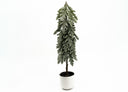 Potted Flocked Pine Tree