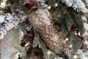 Snowy Frosted Pine Cone