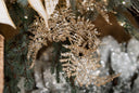 Champagne Lace Fern