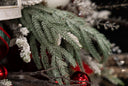 Iced Willow Pine Spray