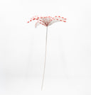 Candy Frosted Poinsettia Pick