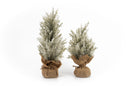 Frosted Miniature Tree