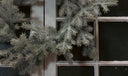 Glacier Spruce Wreath
