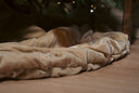 Plush Tan Velvet Tree Skirt