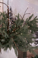 Lighted Branch Spray