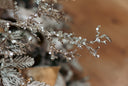 Silver Glittered Branch