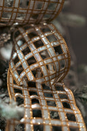 Golden Lattice Ribbon