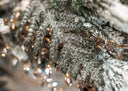 Iced Norfolk Pine Garland
