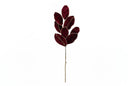 Burgundy Magnolia Velvet Leaf Spray