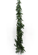 Colorado Blue Spruce Garland