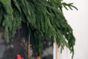 Natural Touch Norfolk Pine Garland