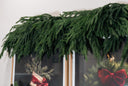 Natural Touch Norfolk Pine Garland