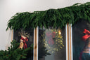 Natural Touch Norfolk Pine Garland