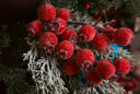 Icy Yule Berry Pick
