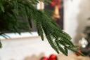 Natural Touch Norfolk Pine Spray