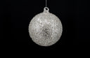 Silver Glittered Ornament