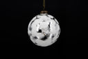 Snowed Silver Ornament
