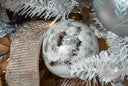 Snowed Silver Ornament