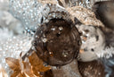 Smokey Diamond Ornament
