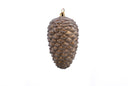 Iced Brown Pinecone