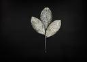 Snowed Magnolia Leaf Pick
