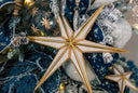 Skyward Star Ornament